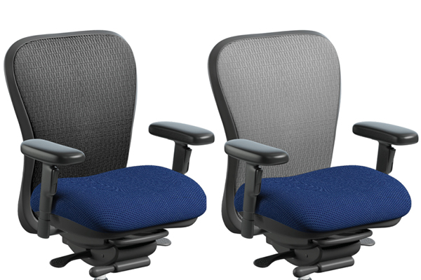 Mesh Backrest