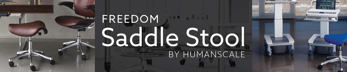 saddle